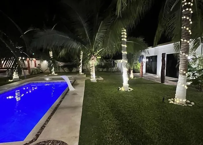 Guest house Turtle *