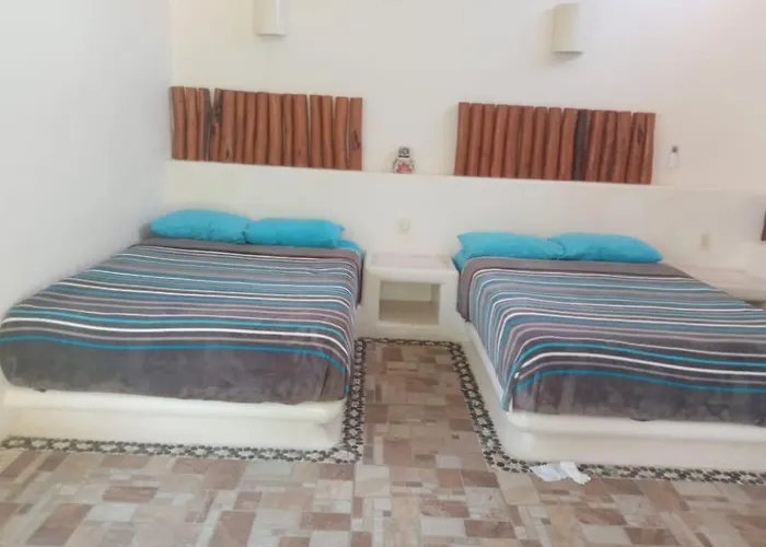 Guest house Turtle