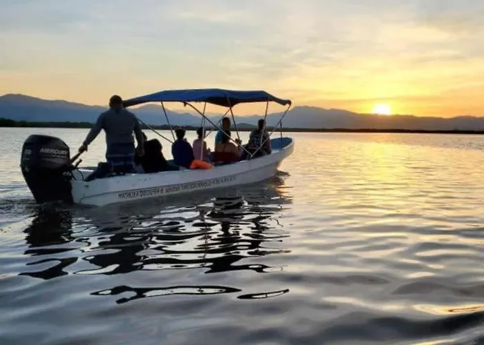Turtle * Zihuatanejo