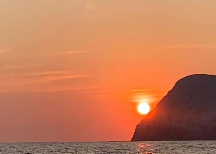 Turtle * Zihuatanejo