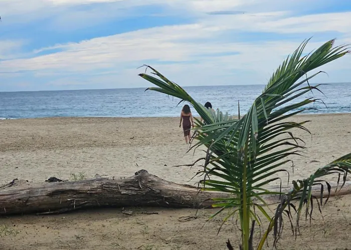 Turtle Guest house *